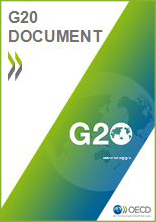 G20 document cover with green border